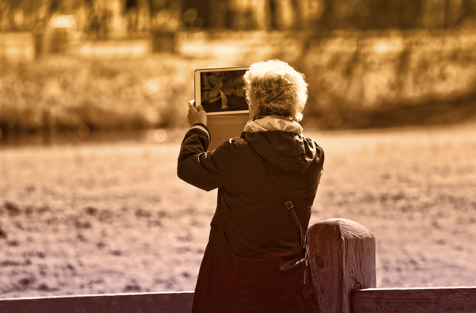 Diffusing the Digital Divide for Older Generations